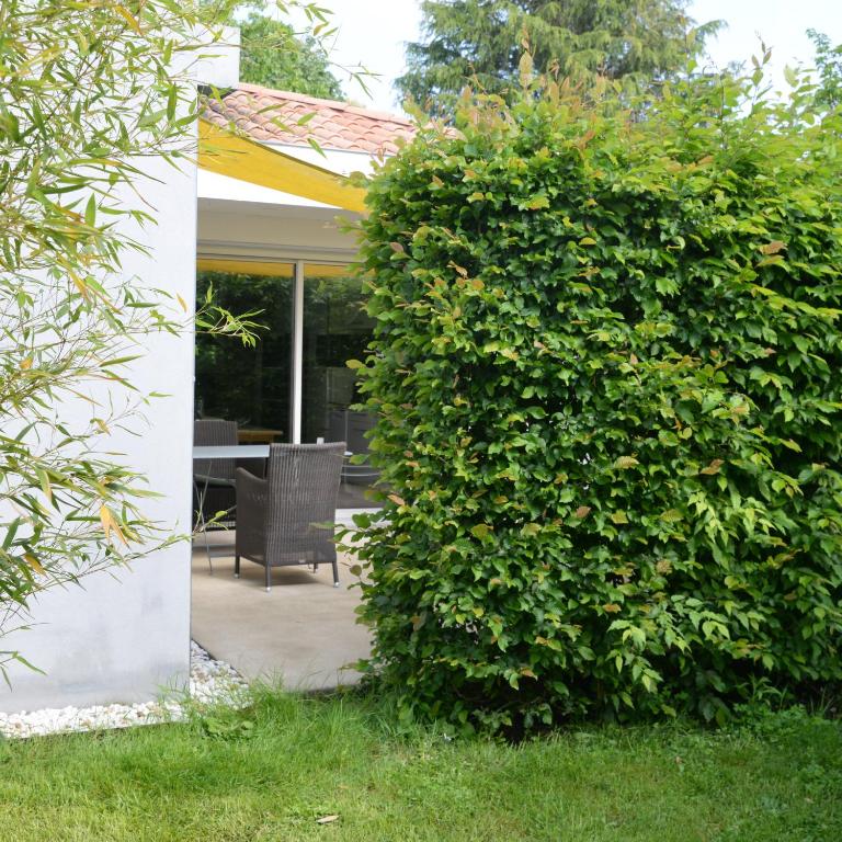 La Maison des Hérissons